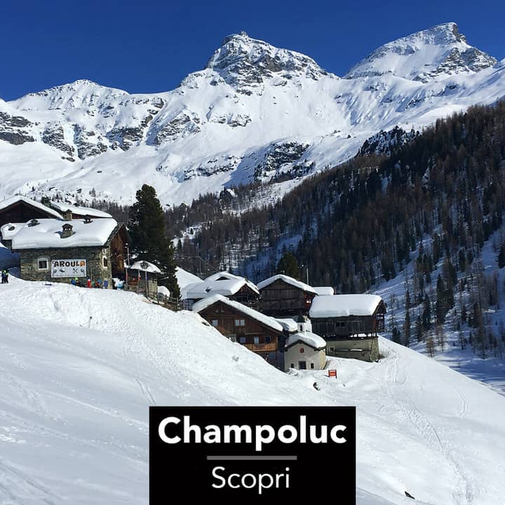 Champoluc SKI-UNLIMITED scuola sci